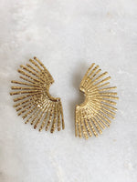 "Earrings Shine"