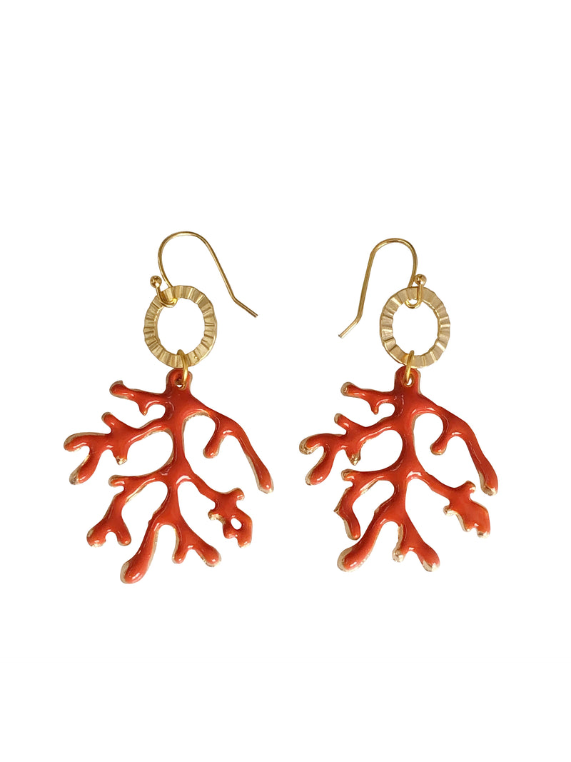 "Coral but no coral"